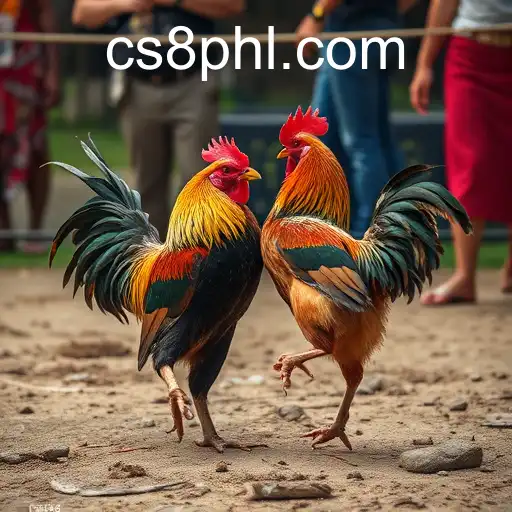 The Cultural and Controversial World of Cockfighting: A Deep Dive into CS8